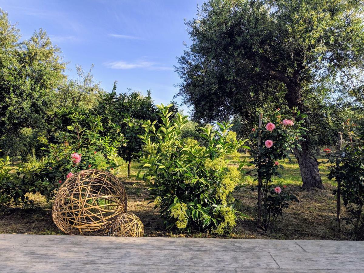 Apartmán Casa Di Porto Roma Vasilikí Exteriér fotografie